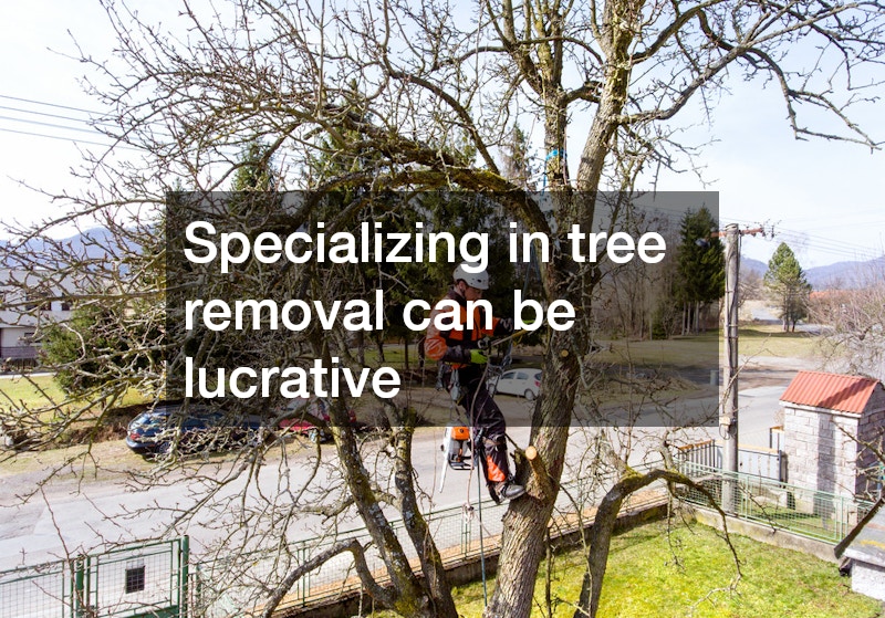 man cutting a tree